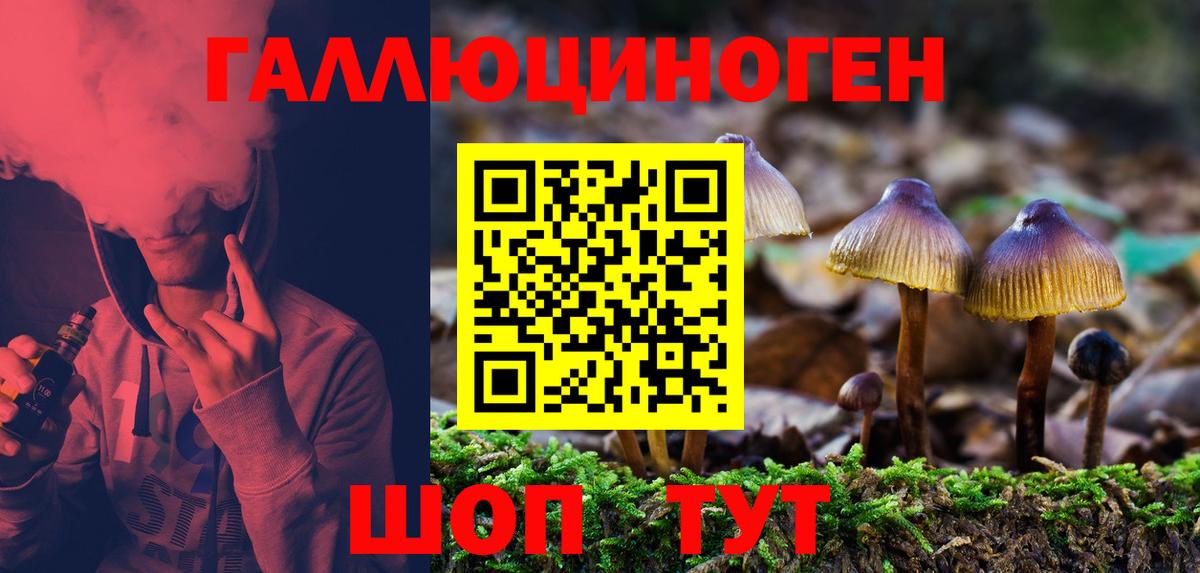 Галлюциногенные грибы Cubensis Коряжма
