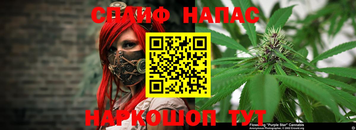 Коряжма  МАРИХУАНА планчик  Каннабис конопля  Каннабис Ganja  Вход с VPN 